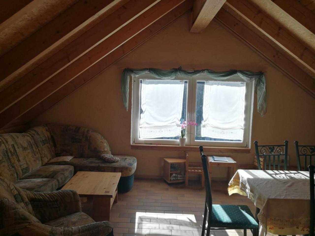 Apartment Erzgebirgsferienwohnung Tellerhauser